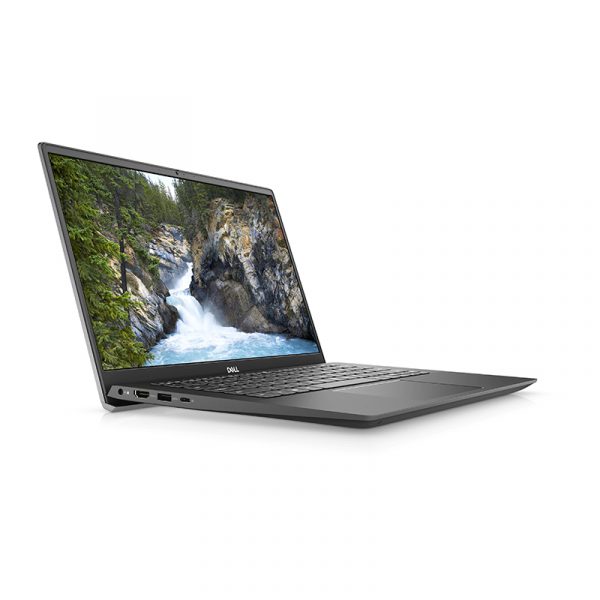 dell2-1