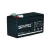 Security Force SF 12 012 / Battery