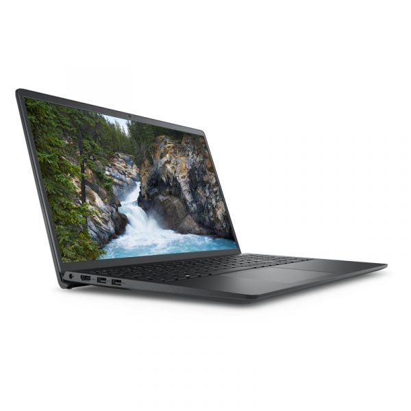 dell1-1